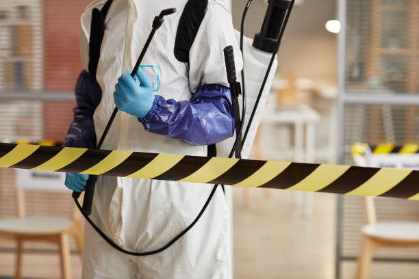Professional Hoarding Cleanup technician working in Augusta, KY